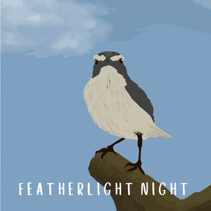 Featherlight Night