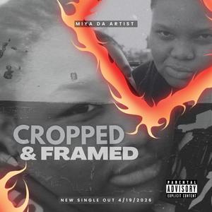 Cropped & Framed