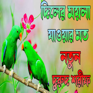 দিলের ময়লা যাওয়ার মত নতুন দরুদ শরীফ