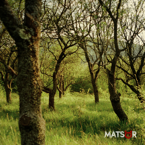 Ти теж чуєш тишу?