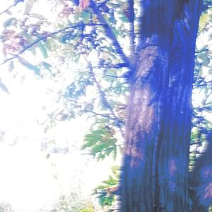 꿈속의 이명 (Dream Hallucination)