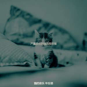 温和可爱的猫梦想