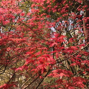 前半生后半生.mp3