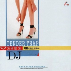 别叫我宝贝 (DJ何鹏版)