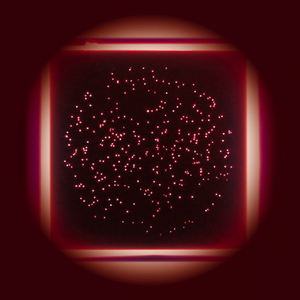 Colliding Bonus Star (Original Mix)
