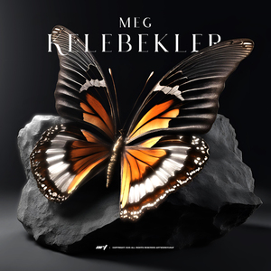 Kelebekler