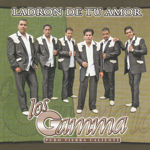 Ladrón de Tu Amor