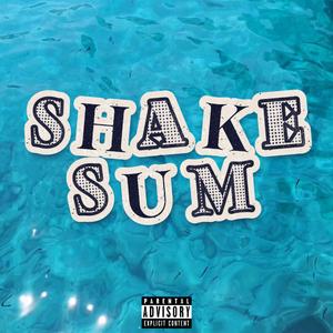 SHAKE SUM