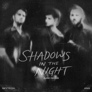 Shadows In The Night (AJSE Remix)