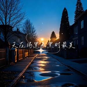 天在将黑未黑时最美