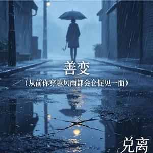 善变(从前你穿越风雨都会仓促见一面)