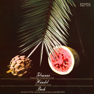 Trio Sonata No. 1 in E flat major, BWV 525: I. Allegro moderato