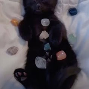 The Chrome Shoppe (sped up)