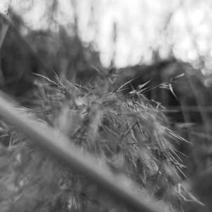 如果这些都是简单的事