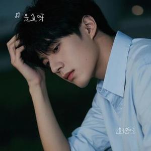 遗憾吗 (Cover 承桓)