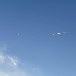 夏天还不算开始 (Cover Lyrik_p)