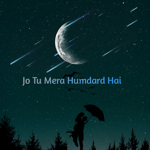 Jo Tu Mera Humdard Hai (Slowed & Reverb)