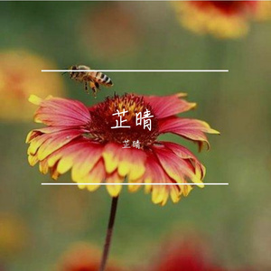 遍体鳞伤仍昂首的征程