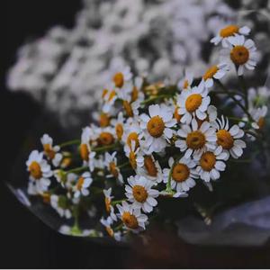 那些停在了那些年