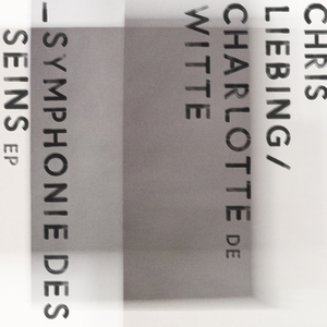 Symphonie des Seins (Chris Liebing Dub Edit)