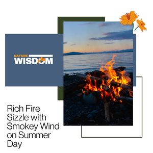 Provoking Fire Sizzle