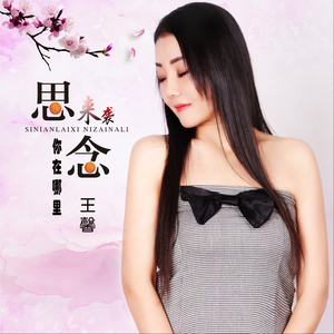 思念来袭你在哪里 (Dj何鹏版)