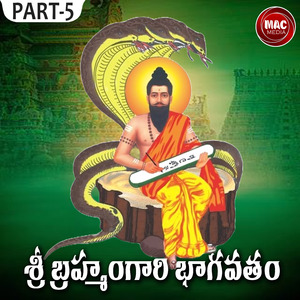 BRAMAHAM GARI BAGAVATHAM, Pt. 5
