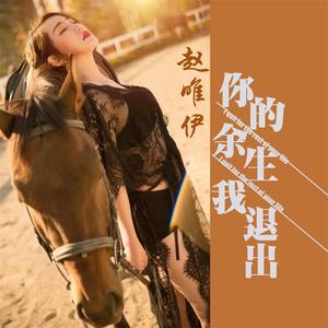 你的余生我退出