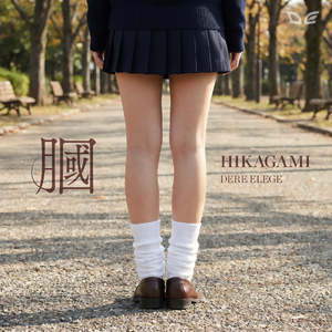 膕（ひかがみ）