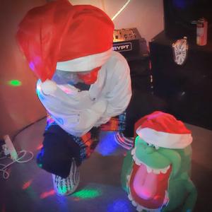 In der Weihnachtsschänderei