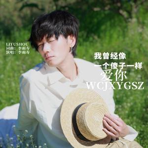 像傻子一样爱你