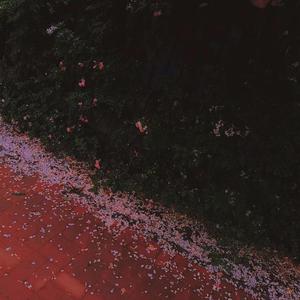 蝉鸣思夏 prod by BECU BEATZ