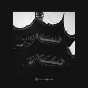 甲辰花街国师塔夜游记 (Annual Memories)