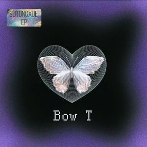 蝴蝶结（BOW T）