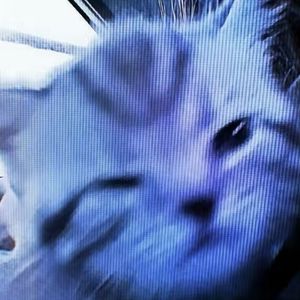 致自己demo（PROD BY CRAZY BEATZ）