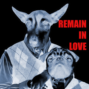 Remain in Love