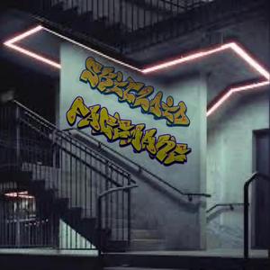 Questionable Compositions (feat. Facemane)