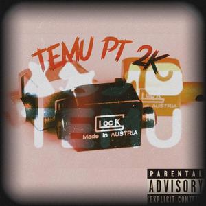 Temu Pt. 2k (feat. Baby Wally, 0057 Tae, 0057 Domi, 2wayRegg & 24CJ) (Radio Edit)