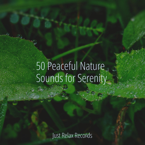 Harmonious Bliss Meld