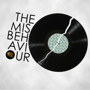 The Misbehaviour (Original Mix)