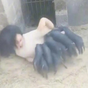 i kud uber h3r 2bnb idc wht it k0st