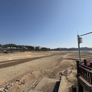 落日下的温情之爱