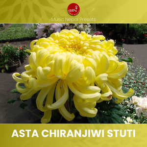 Asta Chiranjiwi Stuti