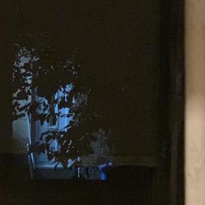 Softtouch (feat. Itchy)