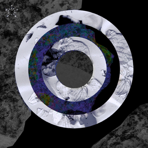 Adjusted Search (Original Mix)