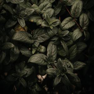 夜空中最亮的星