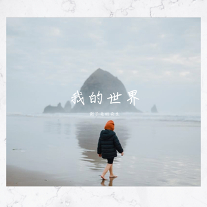 我的世界demo