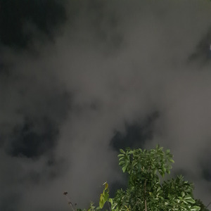 Shareloc Mas Tak Parani