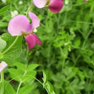 20260219_184016视频提取音频0