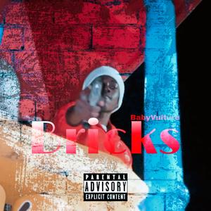 Bricks